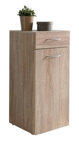 Wäschekommode aus Holz mit einer Schublade und einer Tür, darauf eine Pflanze und eine Box, seitliche Perspektive