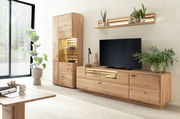 Moderne Wohnzimmer-Wandkombination aus Holz mit TV-Schrank, Vitrine und Regal, umgeben von Pflanzen, aus seitlicher Perspektive.