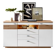 Modernes Sideboard mit weißer Front und Holzdetails, dekoriert mit Pflanzen und Kunstwerken, frontal betrachtet.