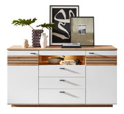 Modernes Sideboard mit weißer Front und Holzdetails, dekoriert mit Pflanzen und Kunstwerken, frontal betrachtet.