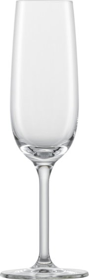 Sektglas aus klarem Glas, frontal fotografiert, mit elegantem Stiel und breitem Fuß.