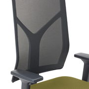 Rückansicht eines Drehstuhls mit Netzrückenlehne und grüner Sitzfläche, seitliche Perspektive