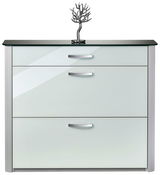Moderner Schuhschrank mit drei Schubladen, Glasoberfläche und dekorativem Baumobjekt, Frontalansicht