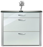 Moderner Schuhschrank mit drei Schubladen, Glasoberfläche und dekorativem Baumobjekt, Frontalansicht