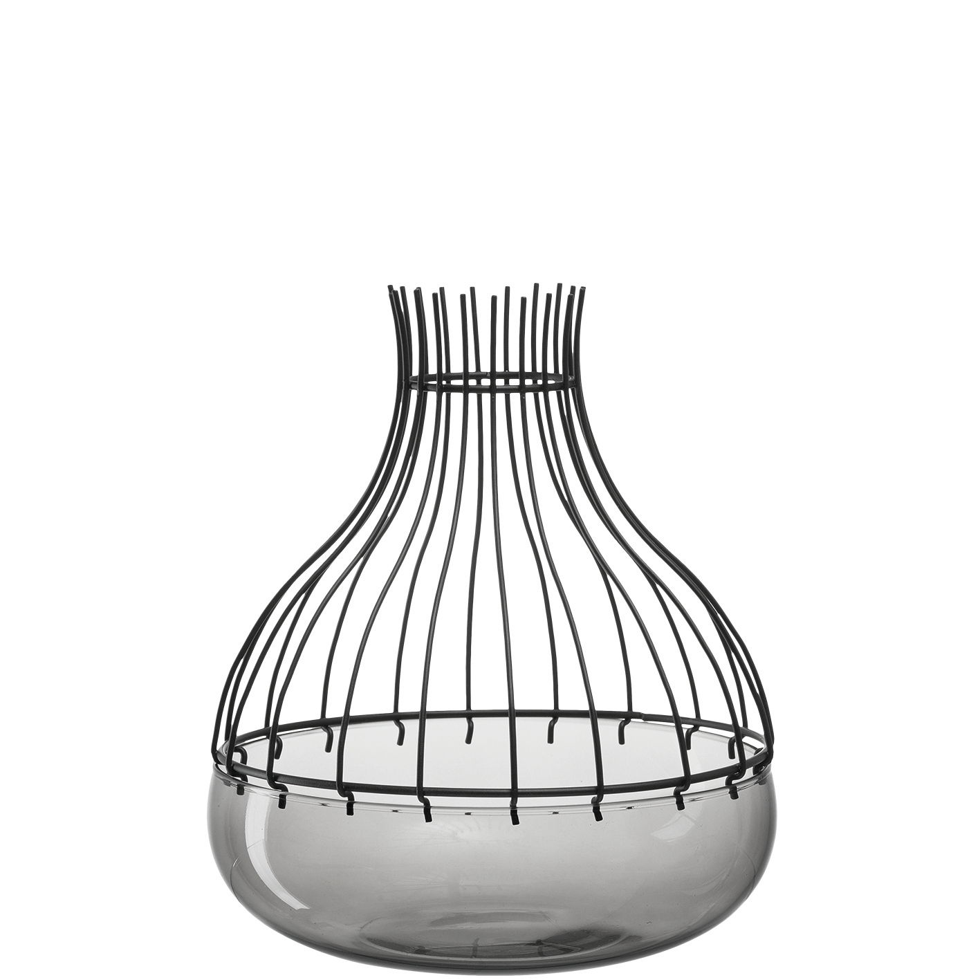 Leonardo Dekoschale GIARDINO Dekoschale Giardino 25cm aus Glas mit schwarzem Drahtgestell, seitliche Perspektive