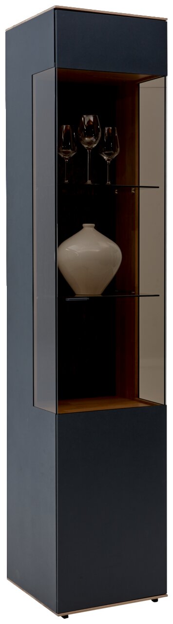 Moderne Vitrine mit Glasfront, zwei Glasböden und dekorativen Objekten, seitliche Perspektive