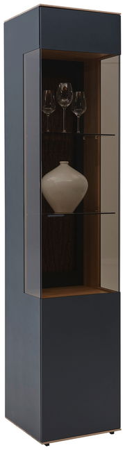 Moderne Vitrine mit Glasfront, zwei Glasböden und dekorativen Objekten, seitliche Perspektive