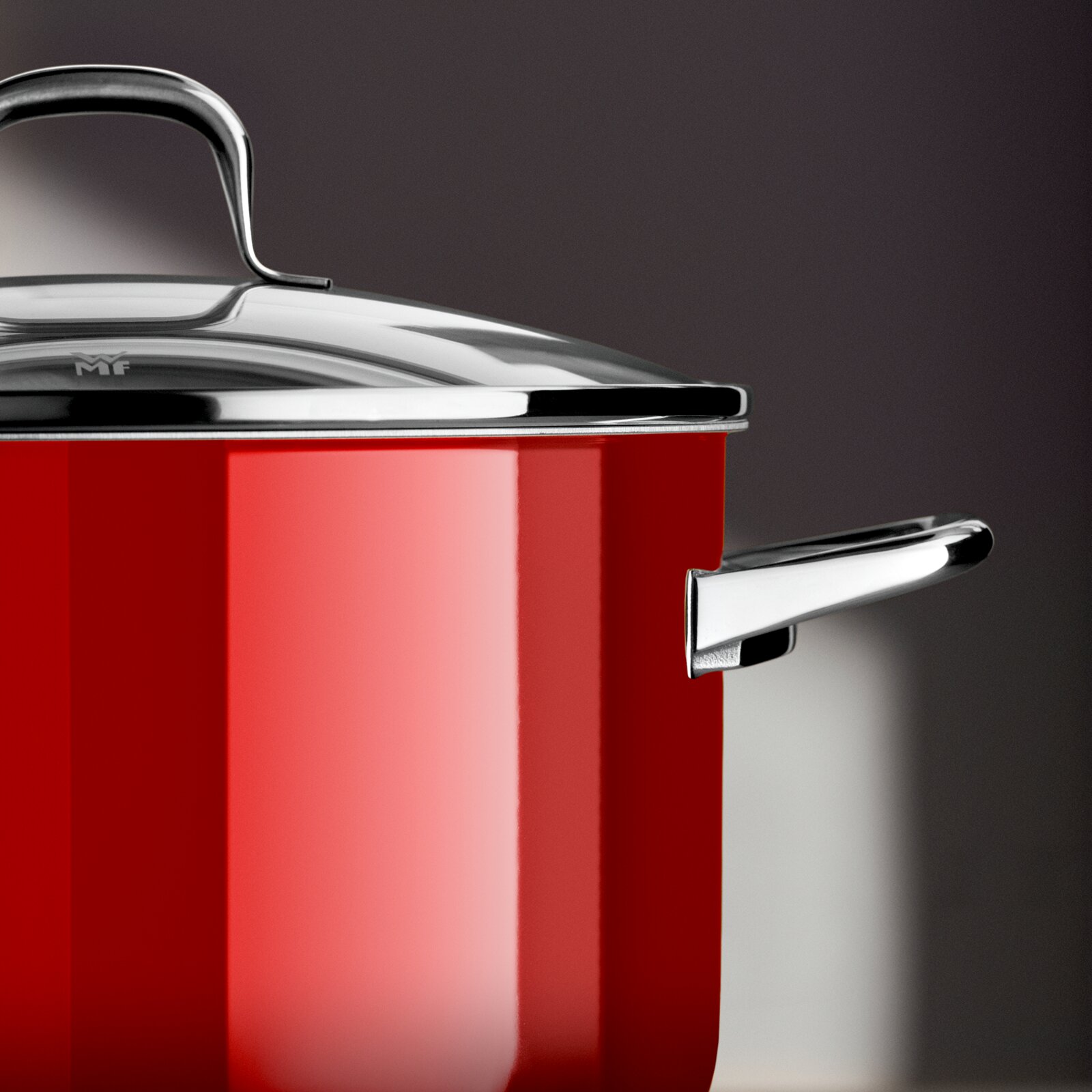 Rode kookpot met glanzend deksel en handvatten, zijaanzicht