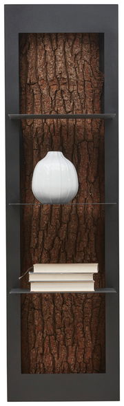 Hängeregal mit Baumrinden-Hintergrund, zwei Glasböden, darauf eine weiße Vase und Bücher, Frontalansicht