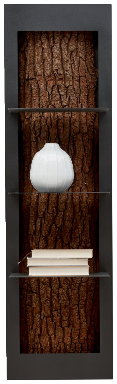 Valnatura Hängeregal LAVIA Hängeregal mit Baumrinden-Hintergrund, zwei Glasböden, darauf eine weiße Vase und Bücher, Frontalansicht