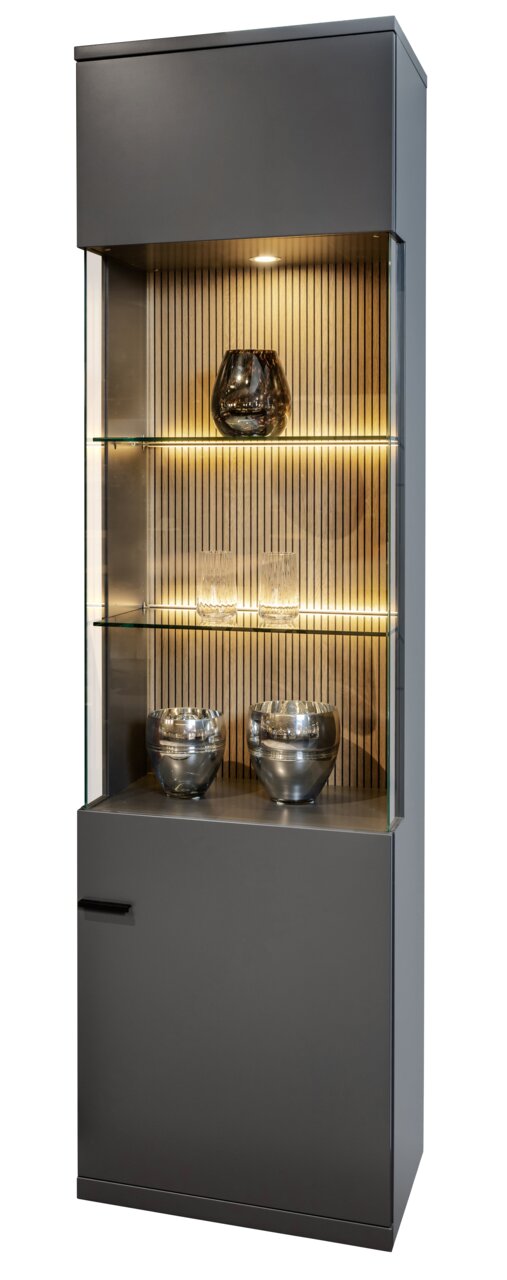 Moderne Vitrine mit Glasregalen und integrierter Beleuchtung, frontal betrachtet.