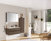 Moderne badkamerkast in donkere houtlook, rechts tegen de muur gemonteerd, met decoratieve elementen erop, gefotografeerd vanuit zijaanzicht.