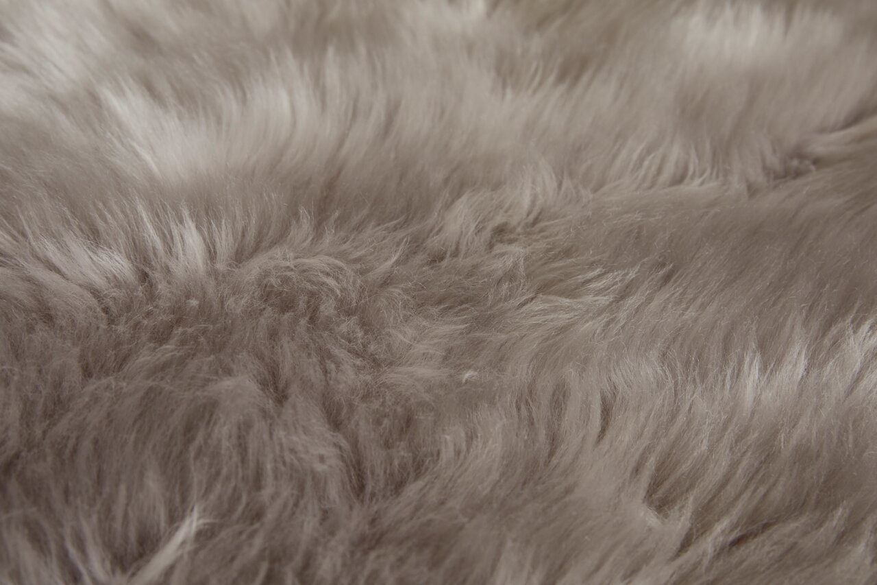 Nahaufnahme eines weichen, grauen Schaffells mit flauschiger Textur.