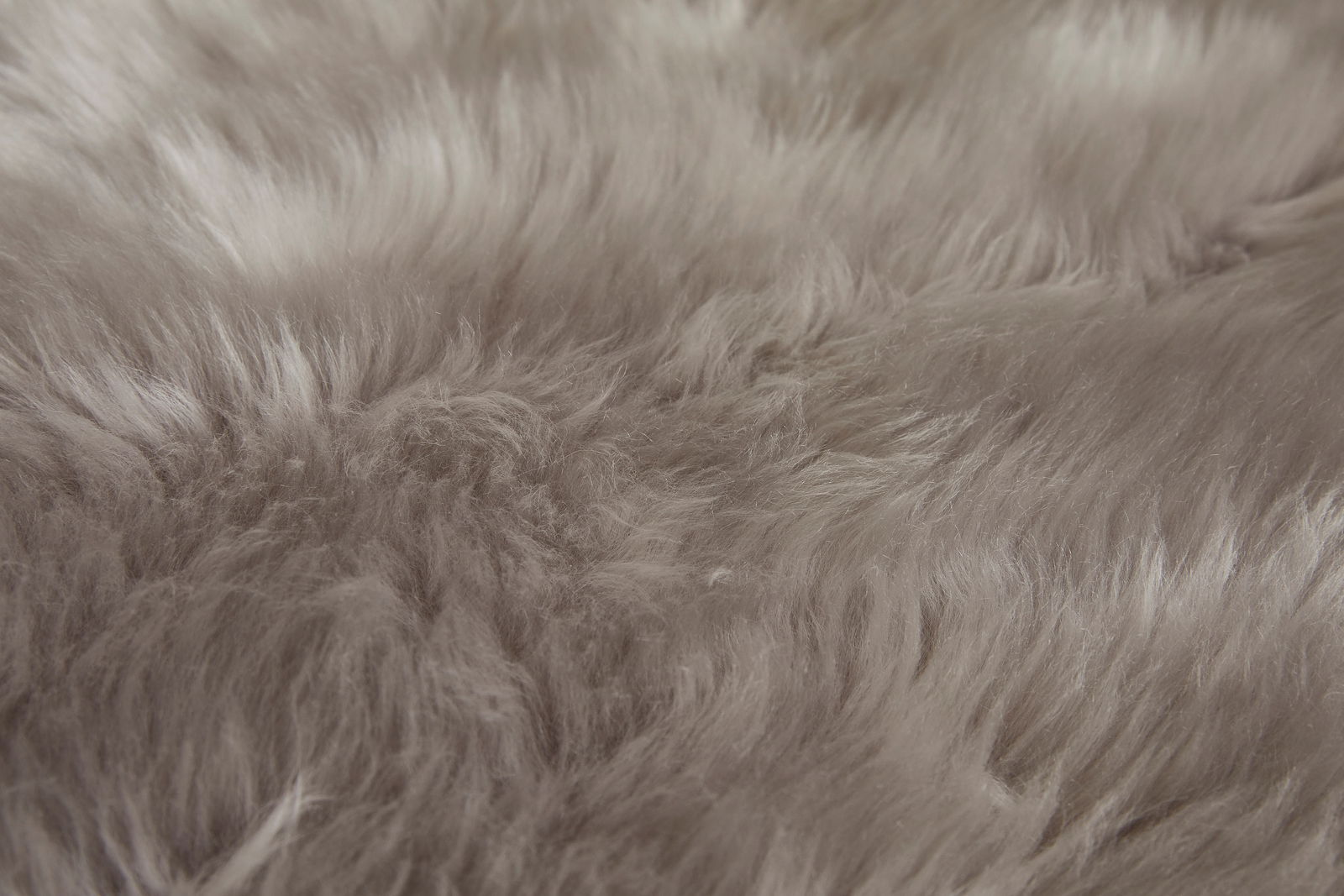 Nahaufnahme eines weichen, grauen Schaffells mit flauschiger Textur.