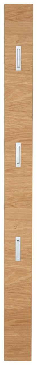 Garderobenpaneel aus Holz mit drei Haken, frontale Ansicht