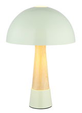 Moderne Tischleuchte mit rundem, mintgrünem Schirm und Holzfuß, frontal abgebildet.
