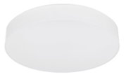 Witte, ovale plafondlamp met vlakke diffuser, gezien schuin van onderen (onderaanzicht) tegen witte achtergrond