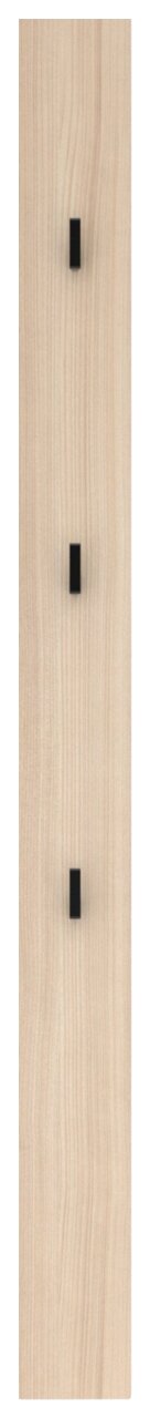 Garderobenpaneel aus hellem Holz mit drei schwarzen Haken, frontale Ansicht