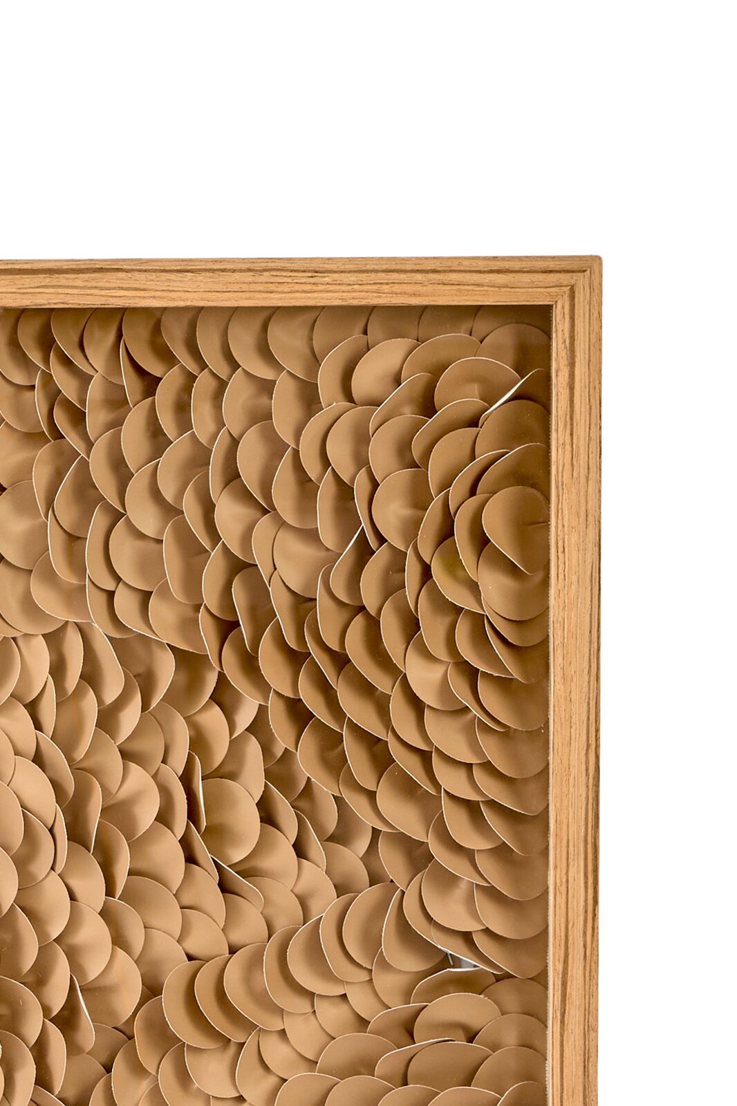 Close-up in vooraanzicht van decoratieve wandkunst met overlappende goudbruine schijfjes in een naturel houten lijst