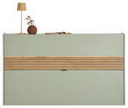 Moderner Schuhschrank Voleo RIO in mintgrün mit Holzstreifen, frontal fotografiert, dekoriert mit Lampe und Vase.