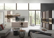 Moderne Wohnzimmer-Wandkombination mit Holz- und Glaselementen, TV-Schrank und dekorativen Regalen, seitliche Perspektive.