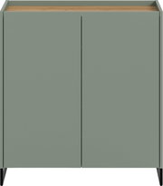 Modernes Sideboard mit zwei grün-grauen Türen, Holzoberplatte und schwarzen Metallbeinen, frontal von vorn fotografiert