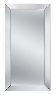 Rechteckiger Spiegel mit abgeschrägtem Rahmen, frontal abgebildet.
