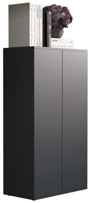 Modernes, hohes Sideboard/Schrank mit zwei grifflosen Türen in Schwarz-Grau, oben mit Büchern und Blumenvase dekoriert, in schräger Frontansicht von links vor weißem Hintergrund
