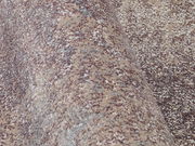 Nahaufnahme eines Designer Teppichs mit melierter Textur in Beige- und Grautönen, seitliche Perspektive