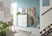 Moderner Eingangsbereich mit Garderobenpaneel und Schuhschrank in hellem Holz und Weiß, seitliche Perspektive
