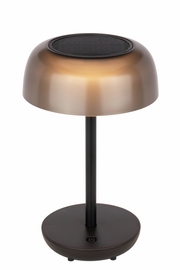 Moderne Solarleuchte mit bronzefarbenem Schirm und schwarzem Standfuß, seitliche Perspektive