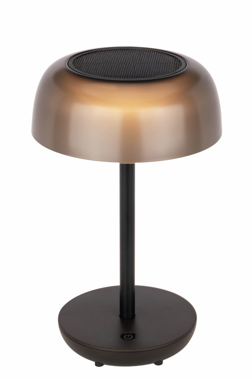 Moderne Solarleuchte mit bronzefarbenem Schirm und schwarzem Standfuß, seitliche Perspektive