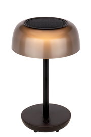 Moderne Solarleuchte mit bronzefarbenem Schirm und schwarzem Standfuß, seitliche Perspektive