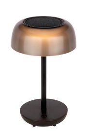 Moderne Solarleuchte mit bronzefarbenem Schirm und schwarzem Standfuß, seitliche Perspektive