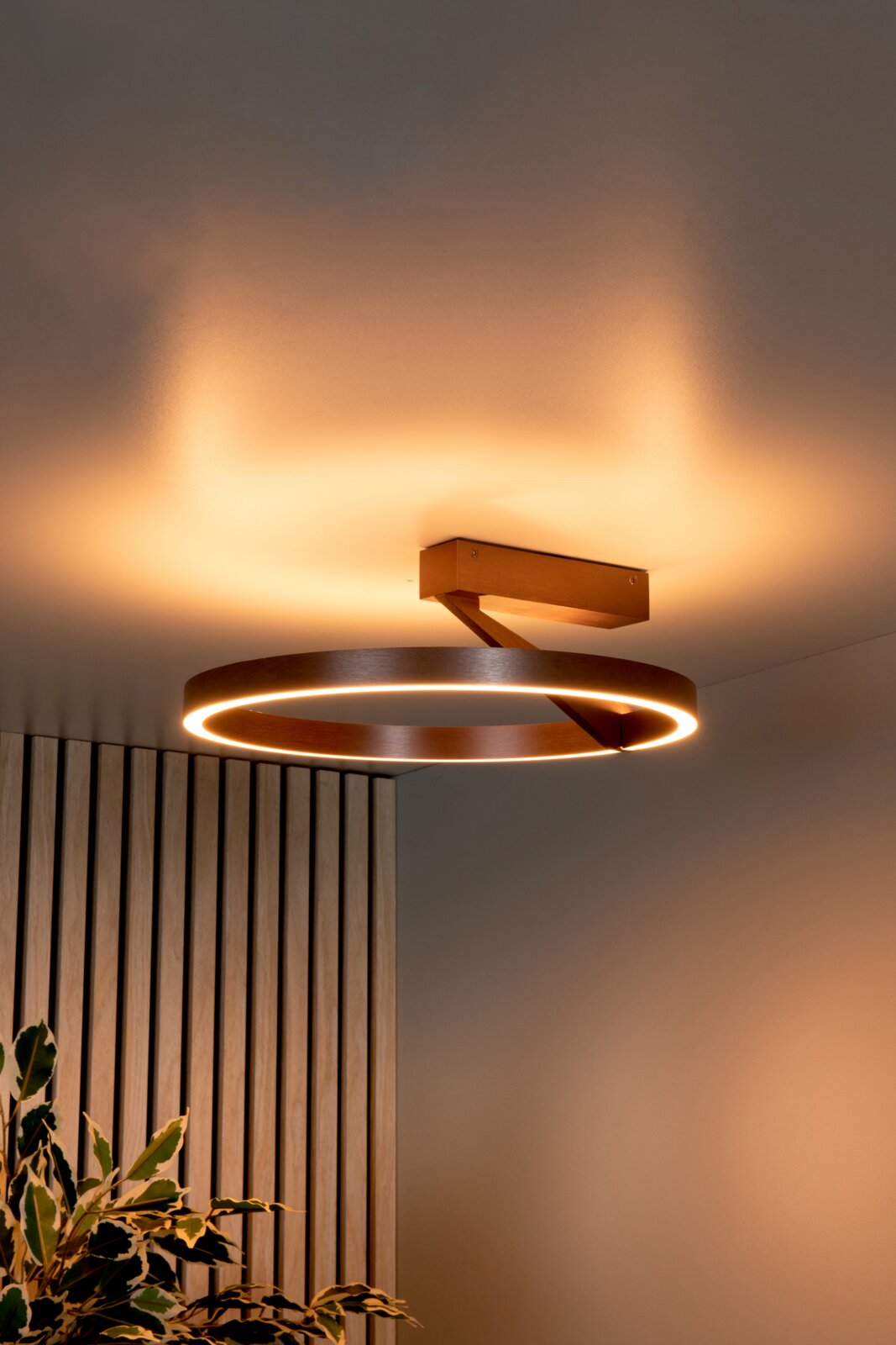 Moderne LED-Deckenleuchte aus Holz mit ringförmigem Licht, warmweiß leuchtend, in schräger Untersicht von unten an der Decke montiert