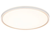 Ronde, platte LED plafondlamp met wit diffuserpaneel en subtiele gouden rand, frontaal aanzicht (onderaanzicht) op witte achtergrond