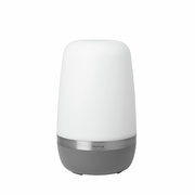 LED-Outdoorleuchte SPIRIT in zylindrischer Form, seitliche Perspektive, mit weißem Leuchtkörper und grauem Sockel.