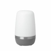 LED-Outdoorleuchte SPIRIT in zylindrischer Form, seitliche Perspektive, mit weißem Leuchtkörper und grauem Sockel.