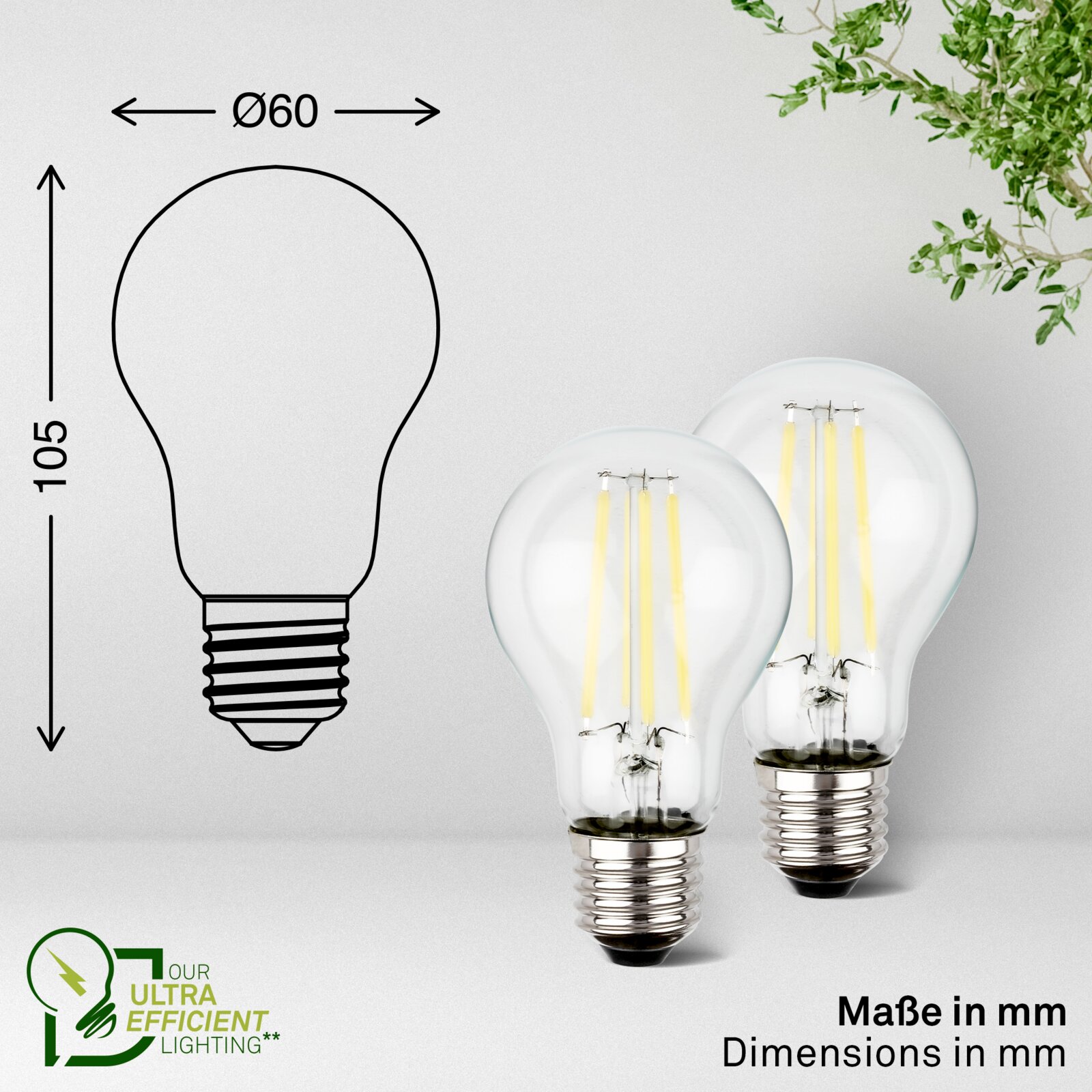 Vooraanzicht van twee transparante LED-filamentlampen met schroeffitting, naast een maatschets met een diameter van 60 mm en een hoogte van 105 mm.