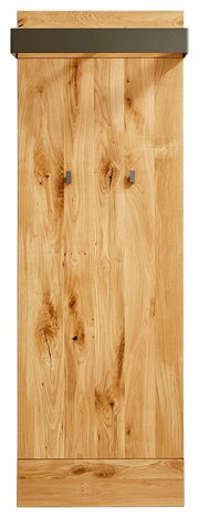 Frontale Ansicht eines schmalen Garderobenpaneels aus Holz mit zwei Haken und einer Ablage oben.