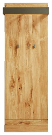 Frontale Ansicht eines schmalen Garderobenpaneels aus Holz mit zwei Haken und einer Ablage oben.