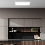 Moderne Küche mit an der Decke montiertem rechteckigem LED-Paneel, Perspektive von vorne.