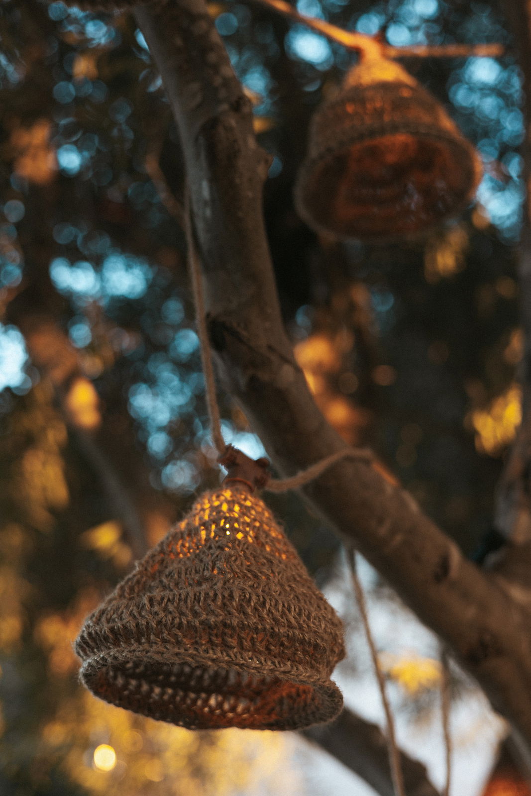 Geflochtene Outdoor-Lichterkette in einem Baum hängend, seitliche Perspektive