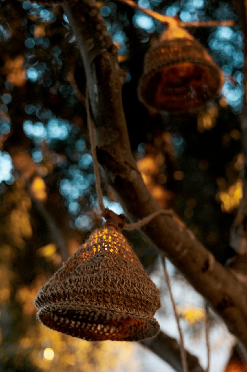 Geflochtene Outdoor-Lichterkette in einem Baum hängend, seitliche Perspektive