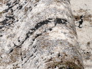 Nahaufnahme eines Designer-Teppichs mit abstraktem Muster in Beige-, Grau- und Schwarztönen, seitliche Perspektive