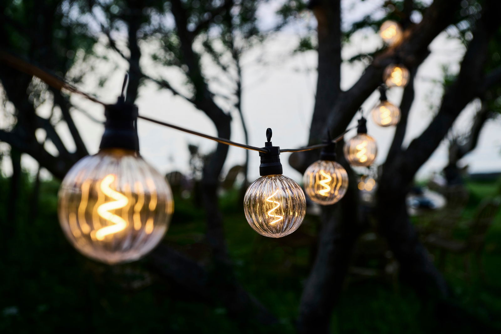 Nahaufnahme einer Lichterkette mit klaren, runden LED-Glühbirnen, aufgehängt zwischen Bäumen in einem Garten bei Dämmerung.
