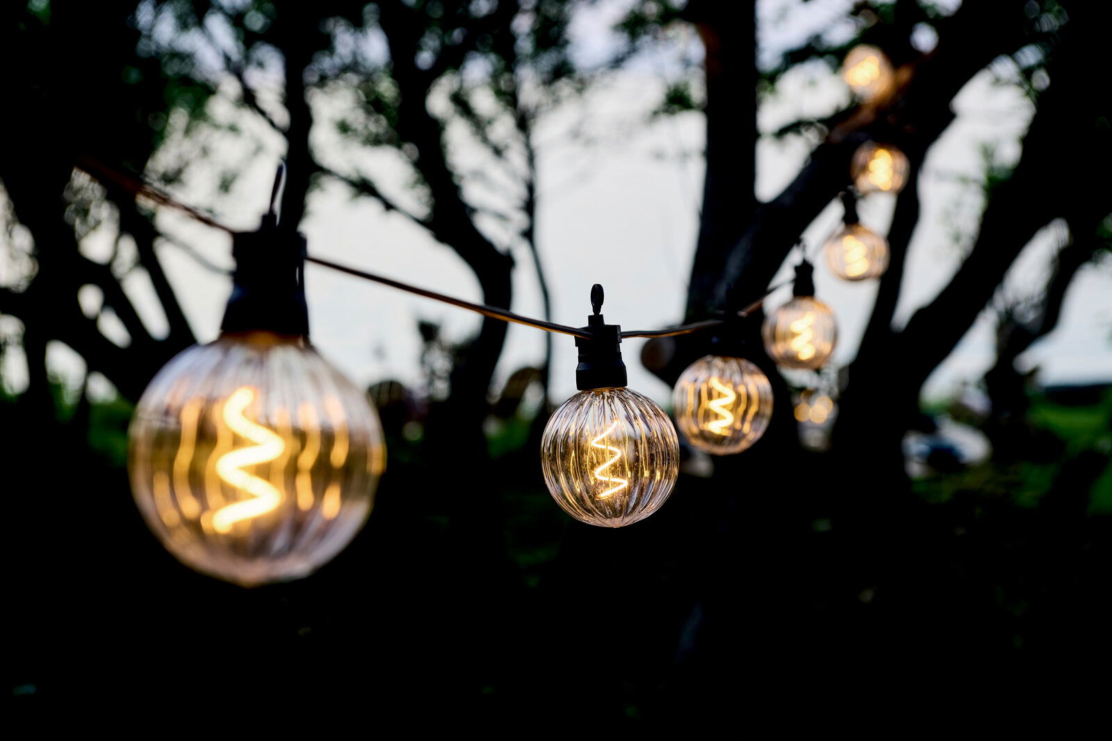 Sirius Outdoor LED-Lichterkette 10m 10 LED`s Erweiterung LUKE Nahaufnahme einer Lichterkette mit klaren, runden LED-Glühbirnen, aufgehängt zwischen Bäumen in einem Garten bei Dämmerung.