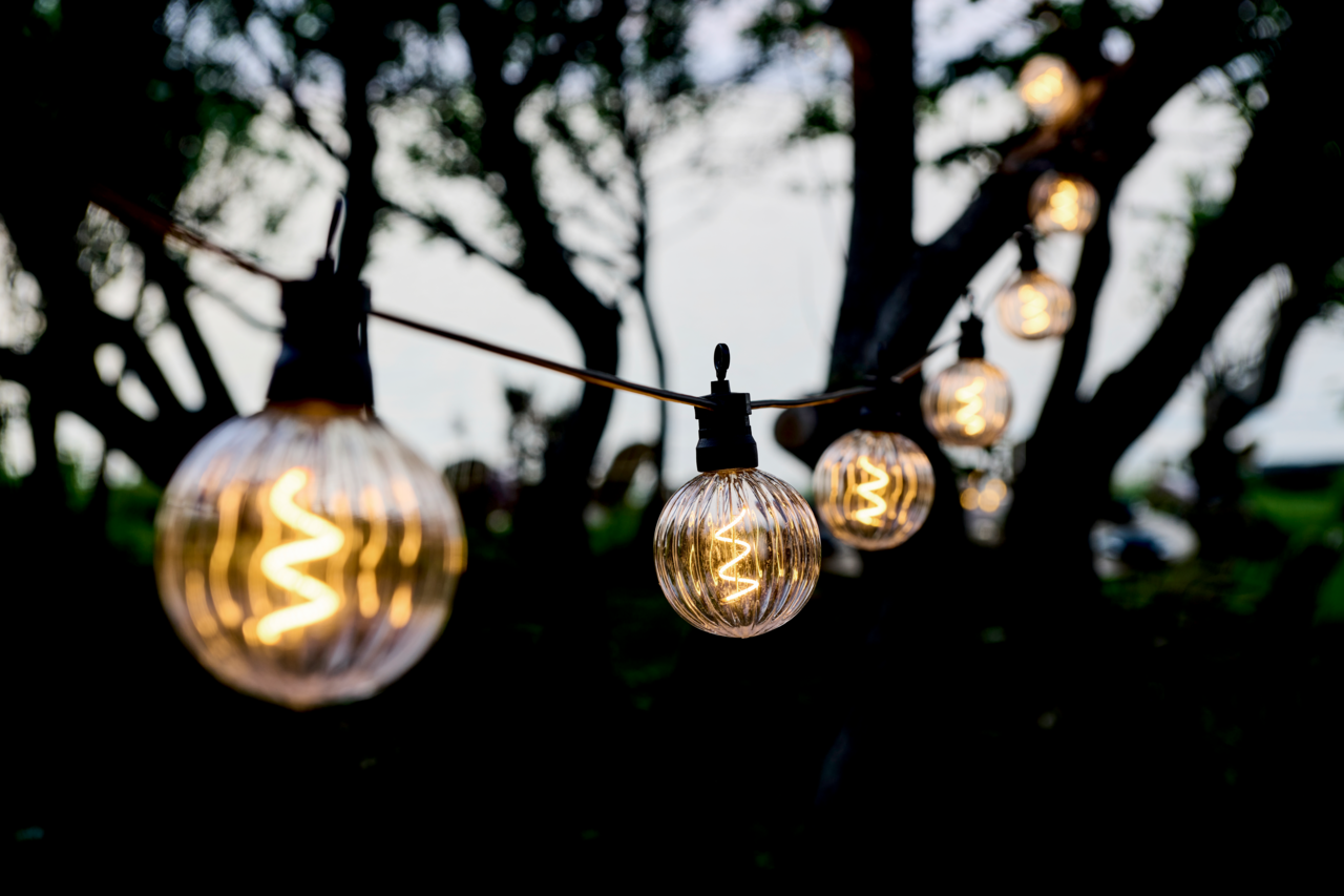 Nahaufnahme einer Lichterkette mit klaren, runden LED-Glühbirnen, aufgehängt zwischen Bäumen in einem Garten bei Dämmerung.