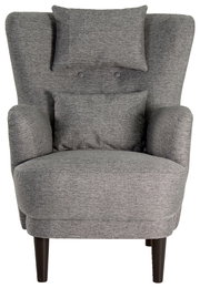 Grauer Ohrensessel mit zwei Kissen, frontal fotografiert