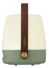 Frontansicht einer modernen, tragbaren Lampe mit einem Holzgriff und einem zweifarbigen Design in Creme und Grün.